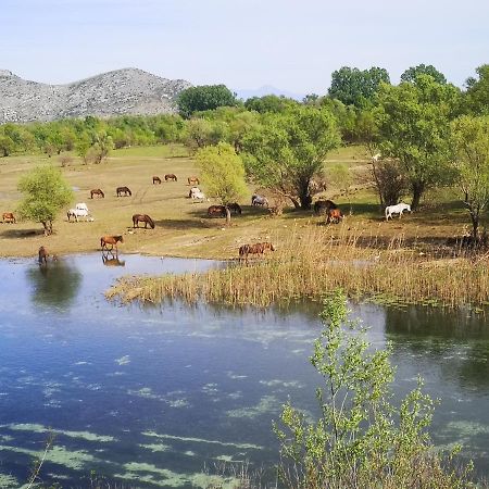 Wild Beauty House Skadar Lake سيتينيي المظهر الخارجي الصورة