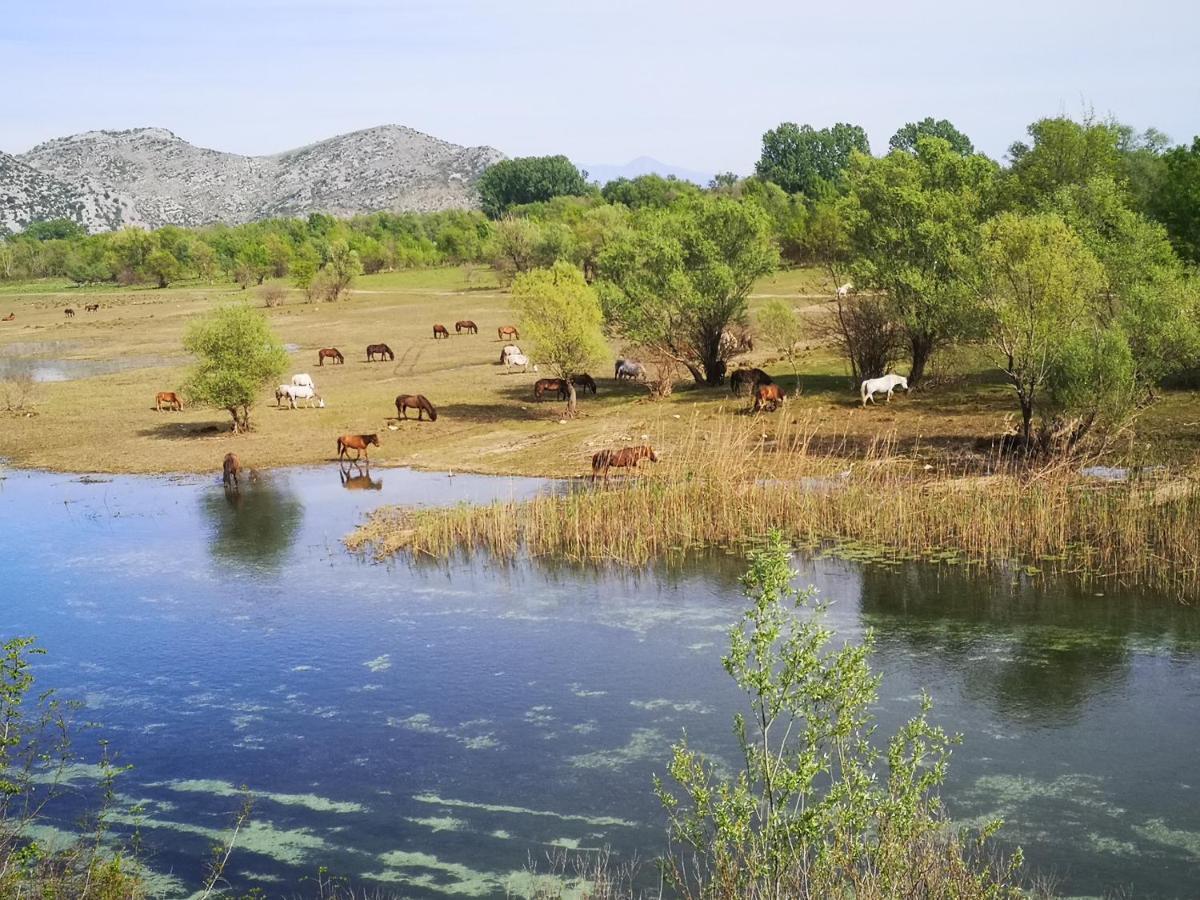 Wild Beauty House Skadar Lake سيتينيي المظهر الخارجي الصورة