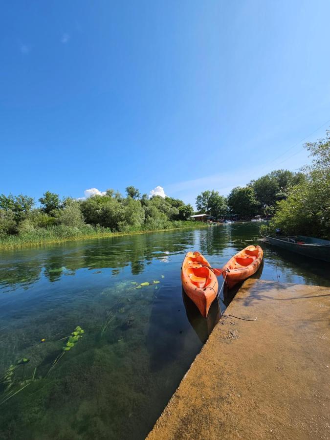 Wild Beauty House Skadar Lake سيتينيي المظهر الخارجي الصورة